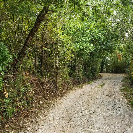 Апартаменты Lorenzo Izzalini